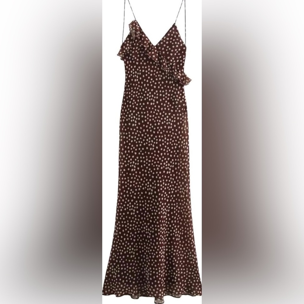 Zara Brown Polka Dot Maxi Dress